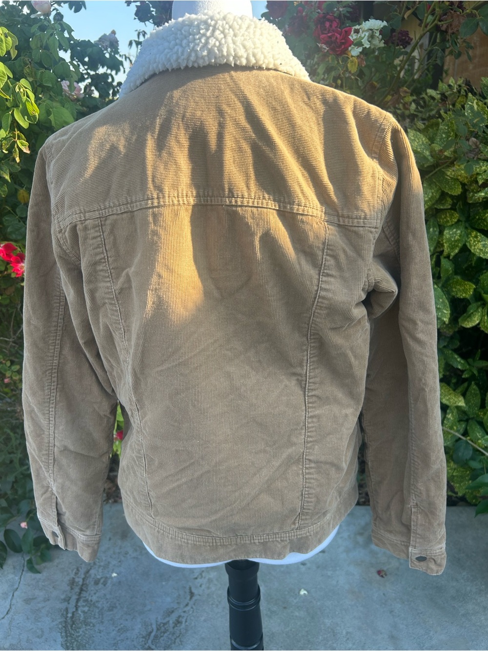 Vans Cozy Cabin core Fall Aesthetic Sherpa-Lined Corduroy Trucker Jacket - Picture 10 of 11